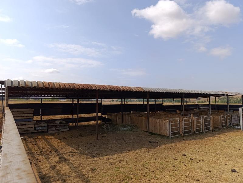 4 Bedroom Property for Sale in Middelburg Eastern Cape